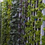 Cultivation wall of mixed produce at The Farm