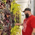 Farm Program Manager inspects crops growing in the hydroponic container at VOA.